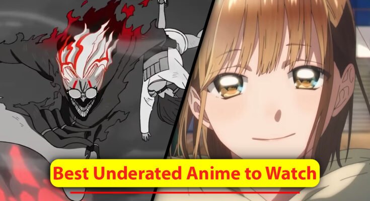 Best Underated Anime Series And Movies in Hindi