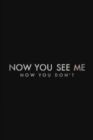 Now You See Me: Now You Don’t