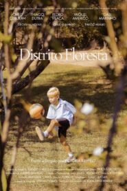 Distrito Floresta